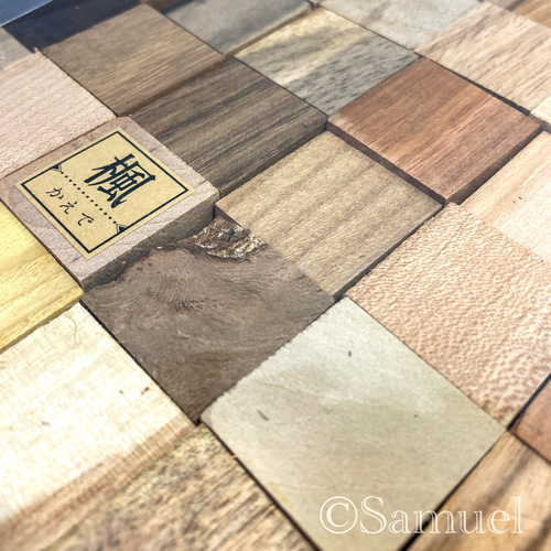 ▦60種60C『世界の木樹の標本／cube（い）：世界中の木材になる木たち