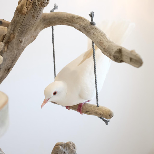 流木バードアスレチック M おもちゃ・ペット小物 Driftwood and birds