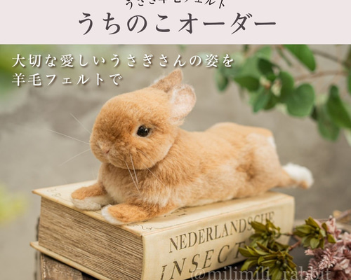 d0da6f2a0fb161455c001adaea159d