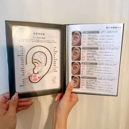 耳ツボジュエリー | 耳つぼ辞典mini vol.1 | 耳つぼマップ その他