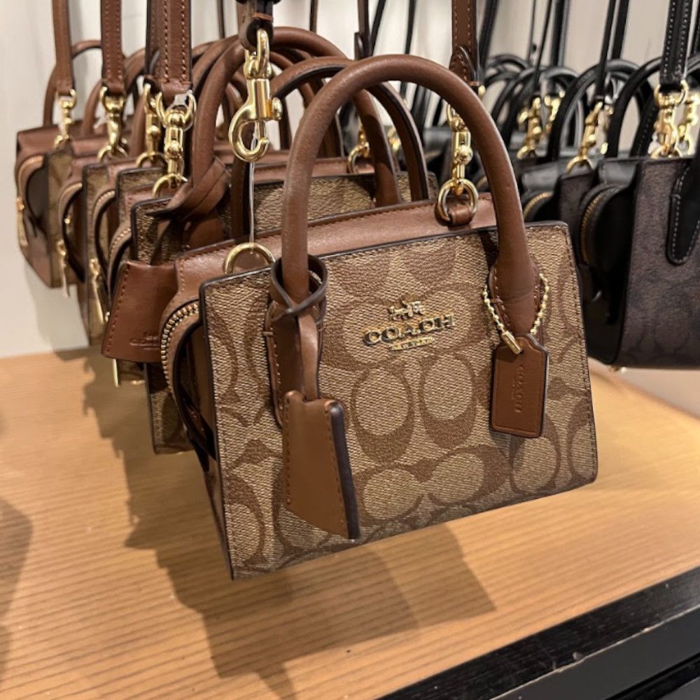 ミニサイズ【Coach】Andrea アンドレア ミニキャリーオール (Coach