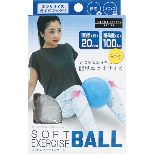 池田工業社 ソフトエクササイズボール 58010 1セット(2個)（直送品