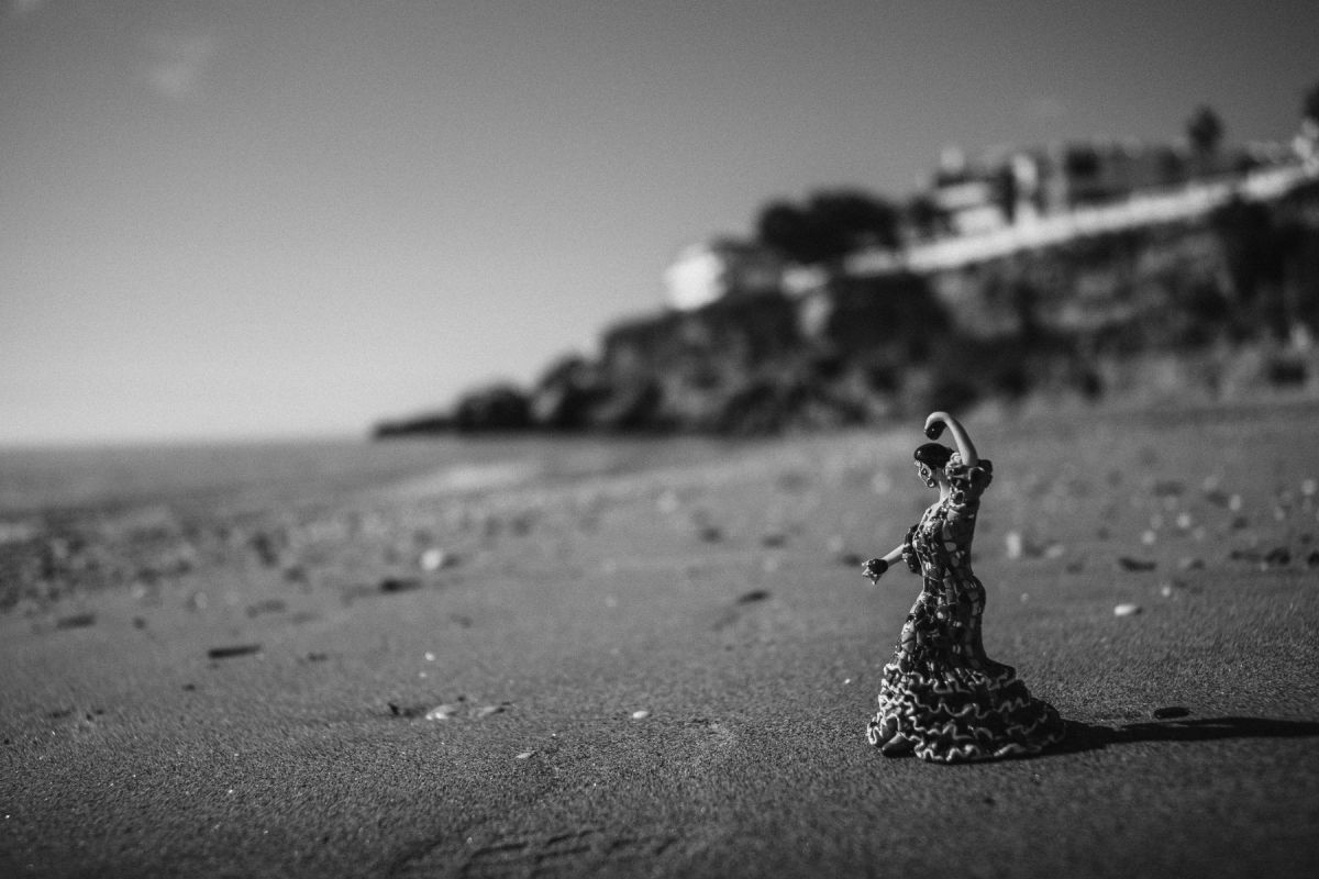 Neptune Convertible Art Lens System Black Canon EF – Lomography