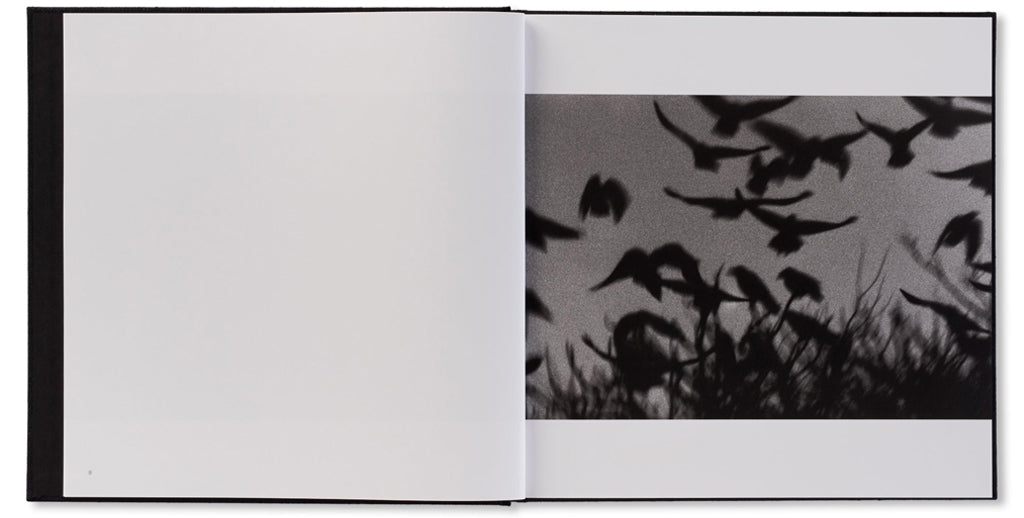 CONVERSATION：RAVENS / 鴉 – 鴉の秘密、アーカイブスの謎 by Tomo