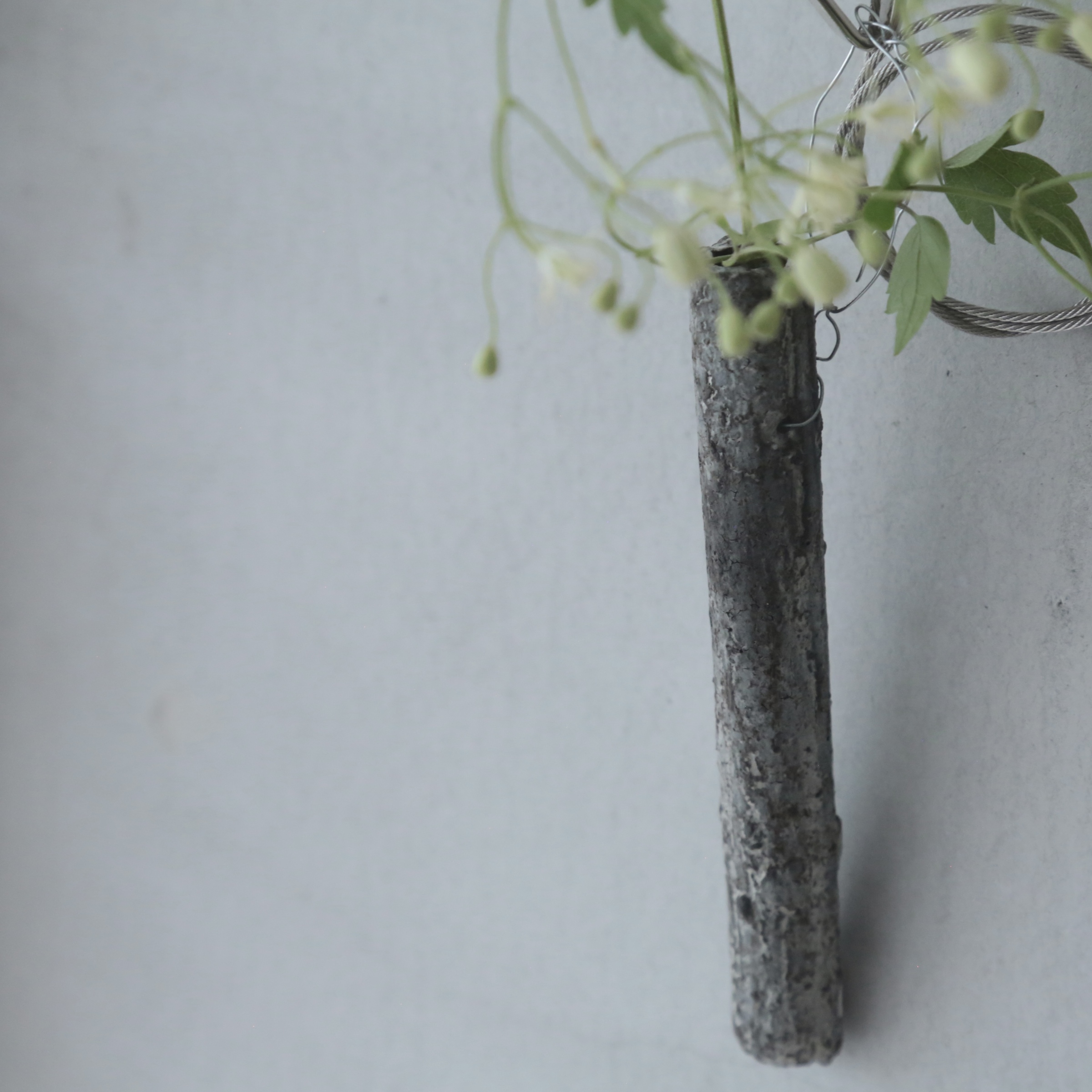 栁川晶子Akiko Yanagawa – Monoina