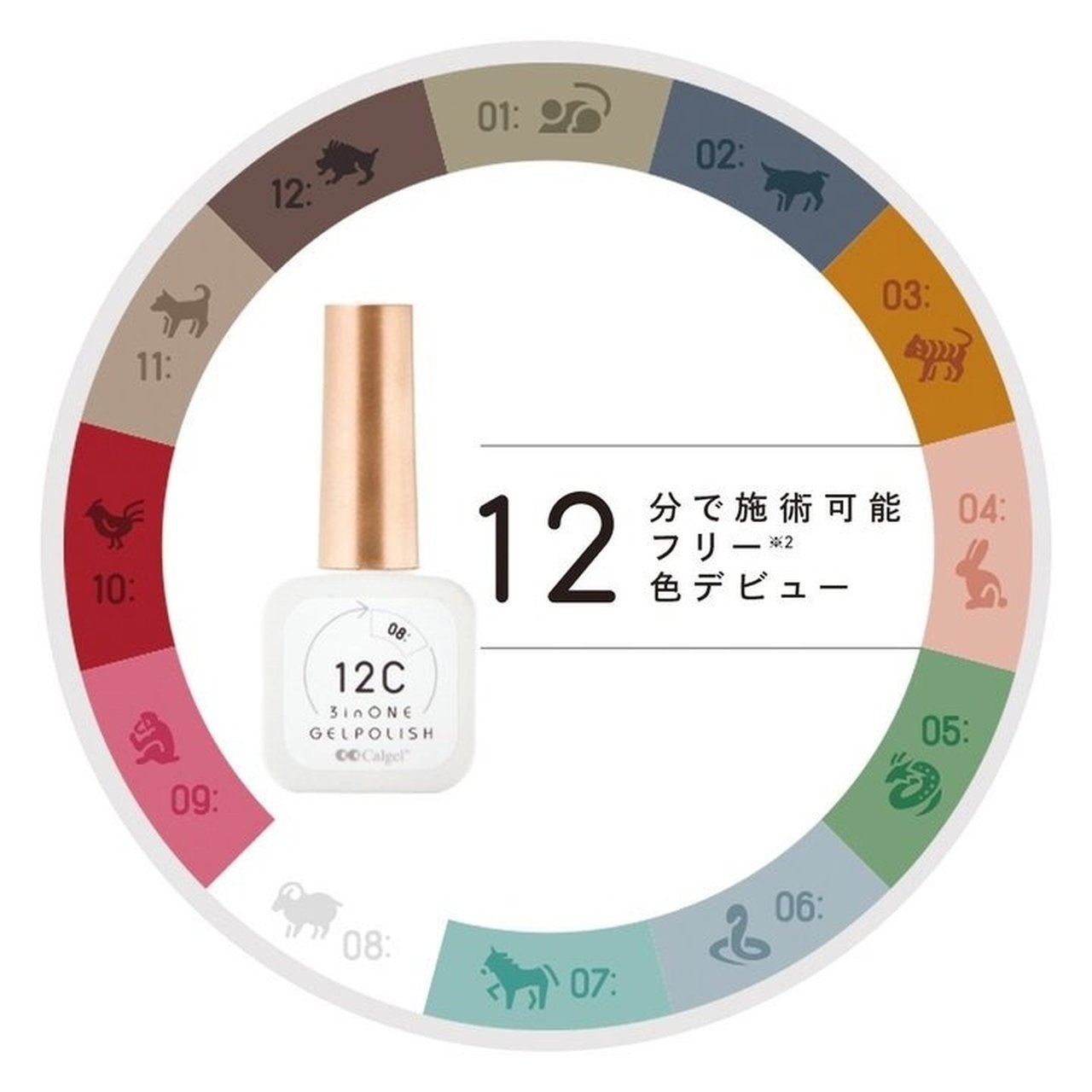 カルジェル 12Cノンワイプ スリーインワン ジェルポリッシュ 全12色