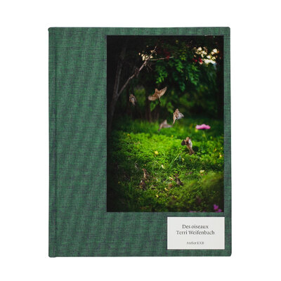 テリ・ワイフェンバック - Terri WEIFENBACH | shashasha 写々者