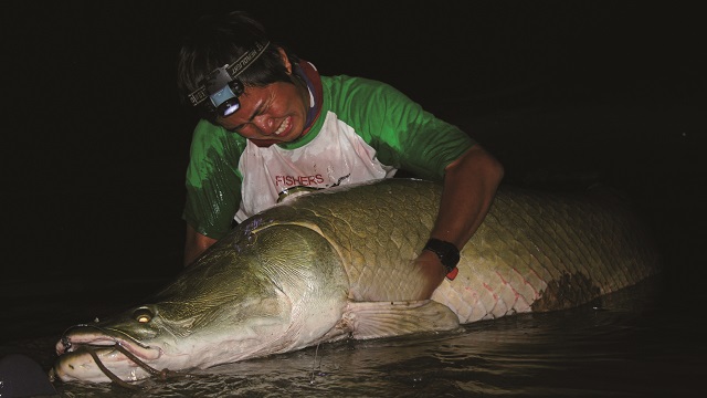 こんなヤツらが待っている!! 世界の大“怪魚”図鑑 【アフリカ】 - SOTOBIRA