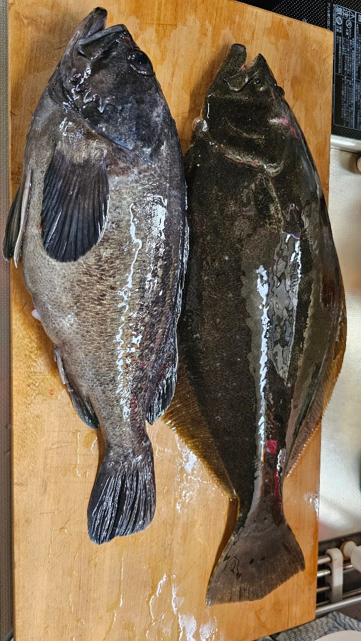 AbuGarcia ロックスイーパー NRS-7102MLHF-TZ GROUPERの最安値