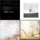 海辺の花屋 | Kana Wakareno