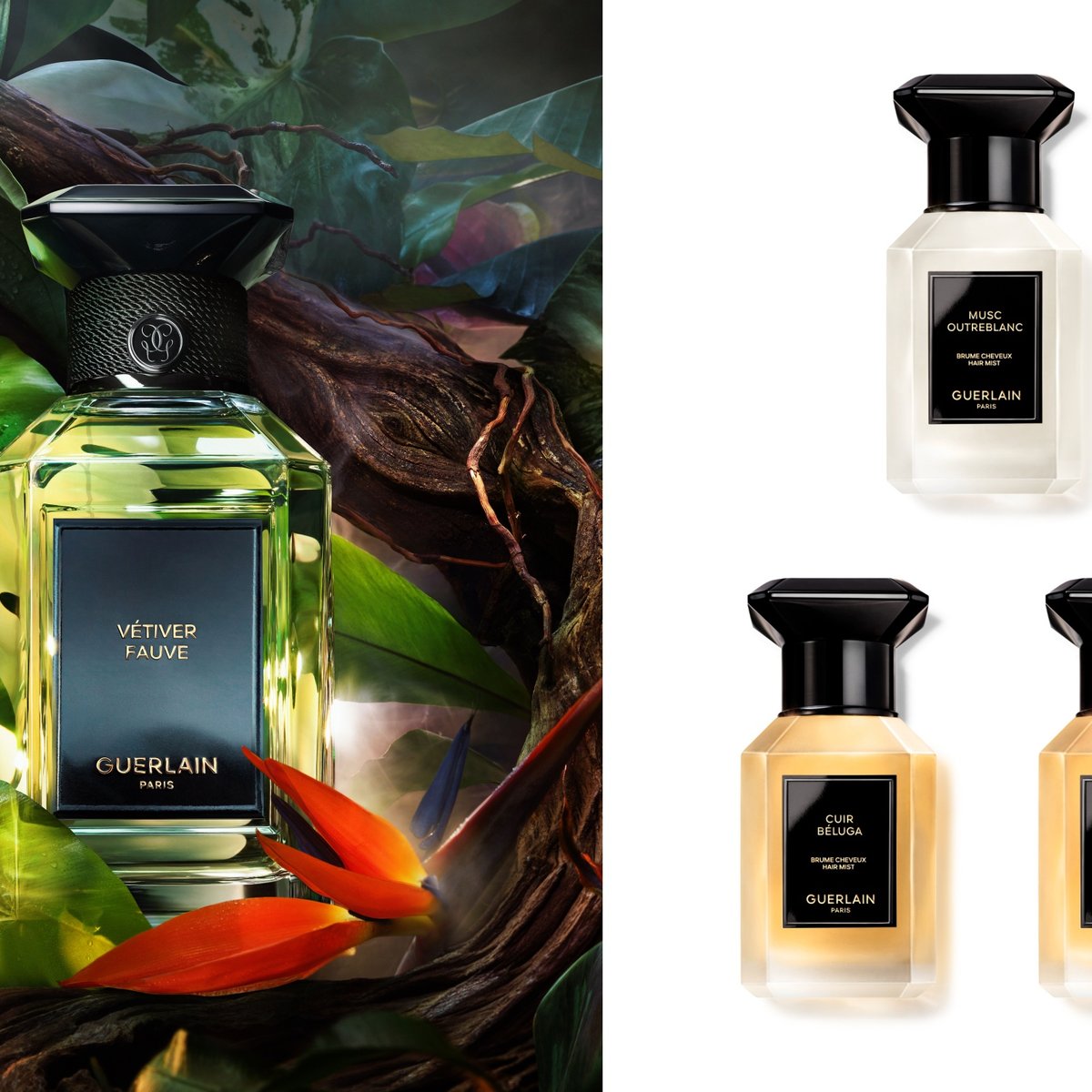 ゲラン」のフレグランスに“夜明けのジャングル”の香りが登場 3種の