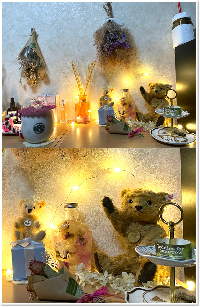 シュタイフ×トトロ 25cm EAN677922