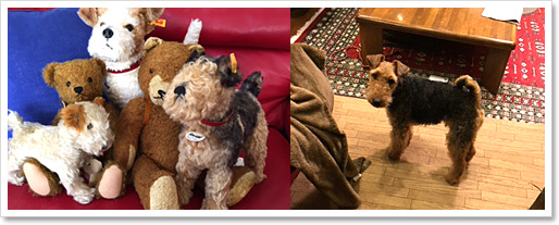 シュタイフ テディベア ベビーマサコ（BABY MASAKO) 23cm EAN652516