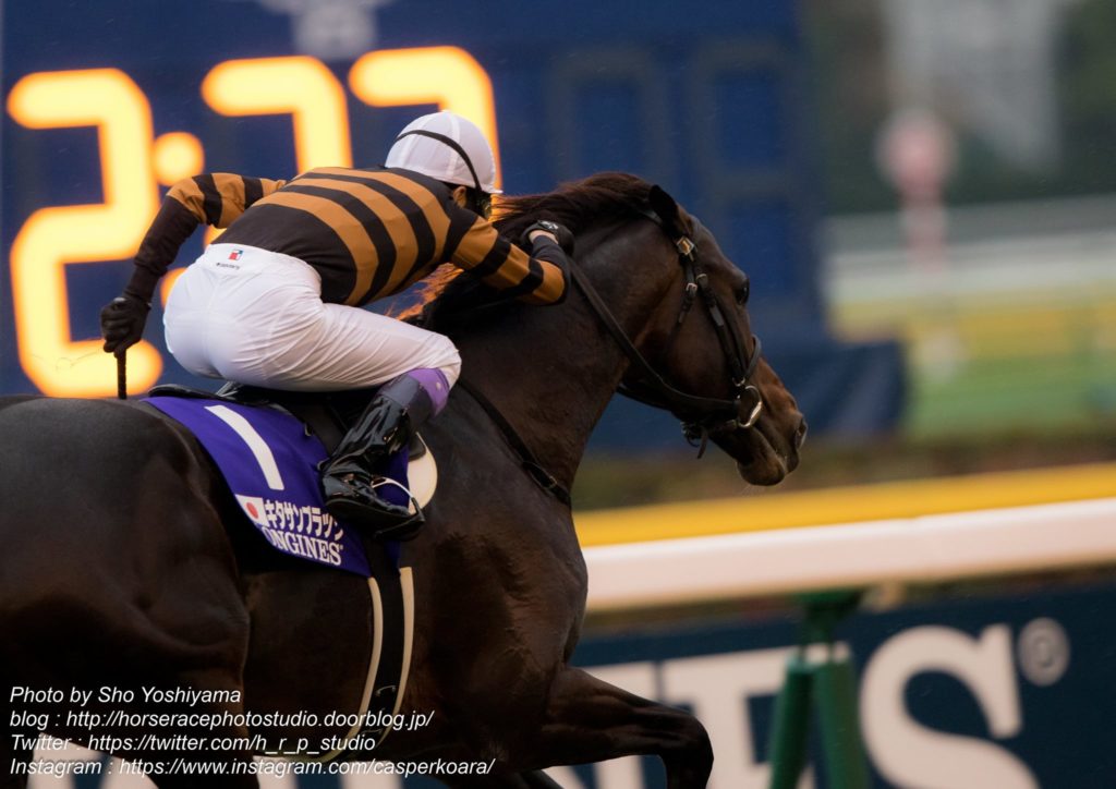 第36回 ジャパンカップ 全馬単勝馬券 キタサンブラック 第36回