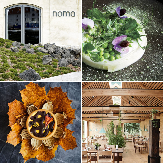 いよいよ来月京都にオープン！ 世界一のレストラン「ノーマ（noma