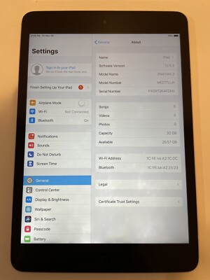 Apple iPad mini 2 32GB, Wi-Fi, 7.9in - Space Gray - White Spots on