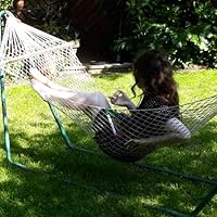 Language of Fiction: Essays in criticism and verbal analysis of