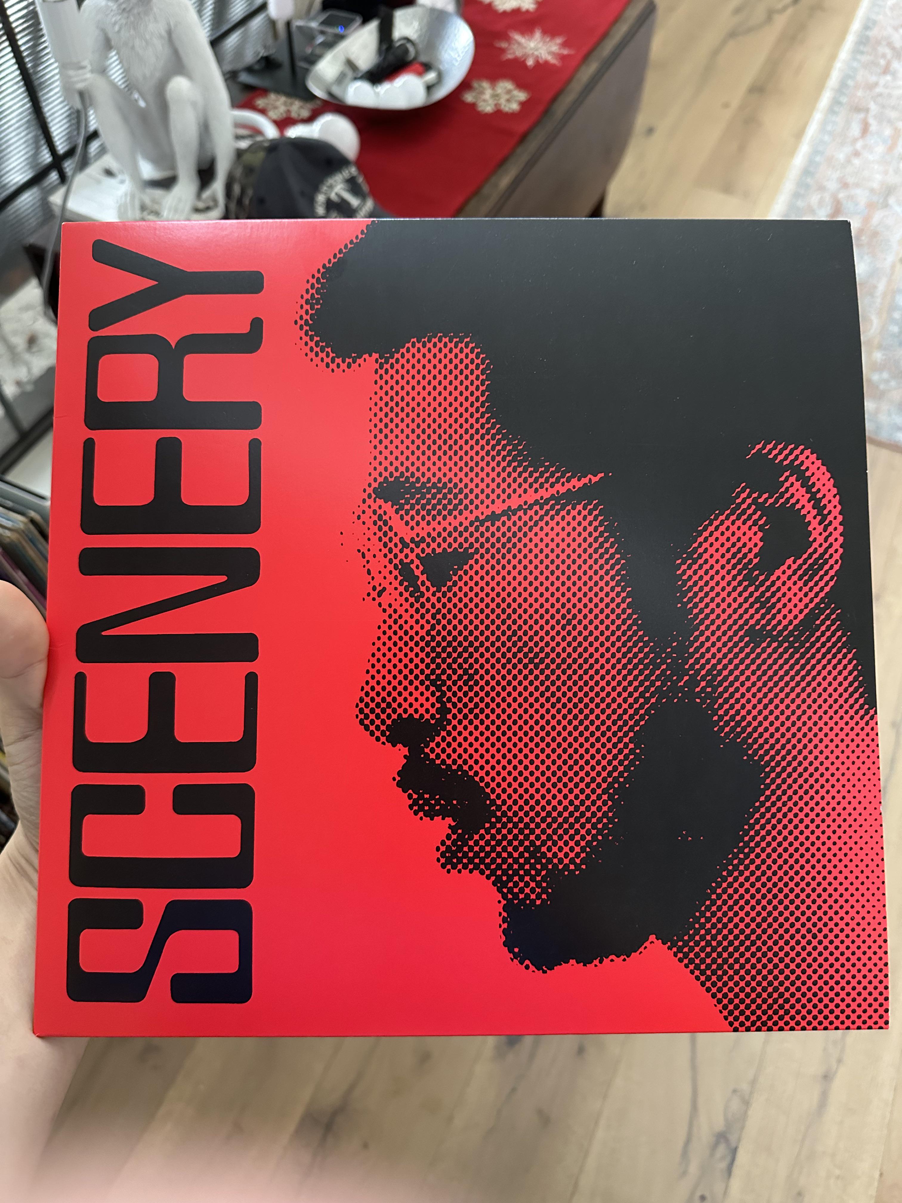 これ、福居良の超レアなレコード「Scenery」を手に入れたんだ。みんな