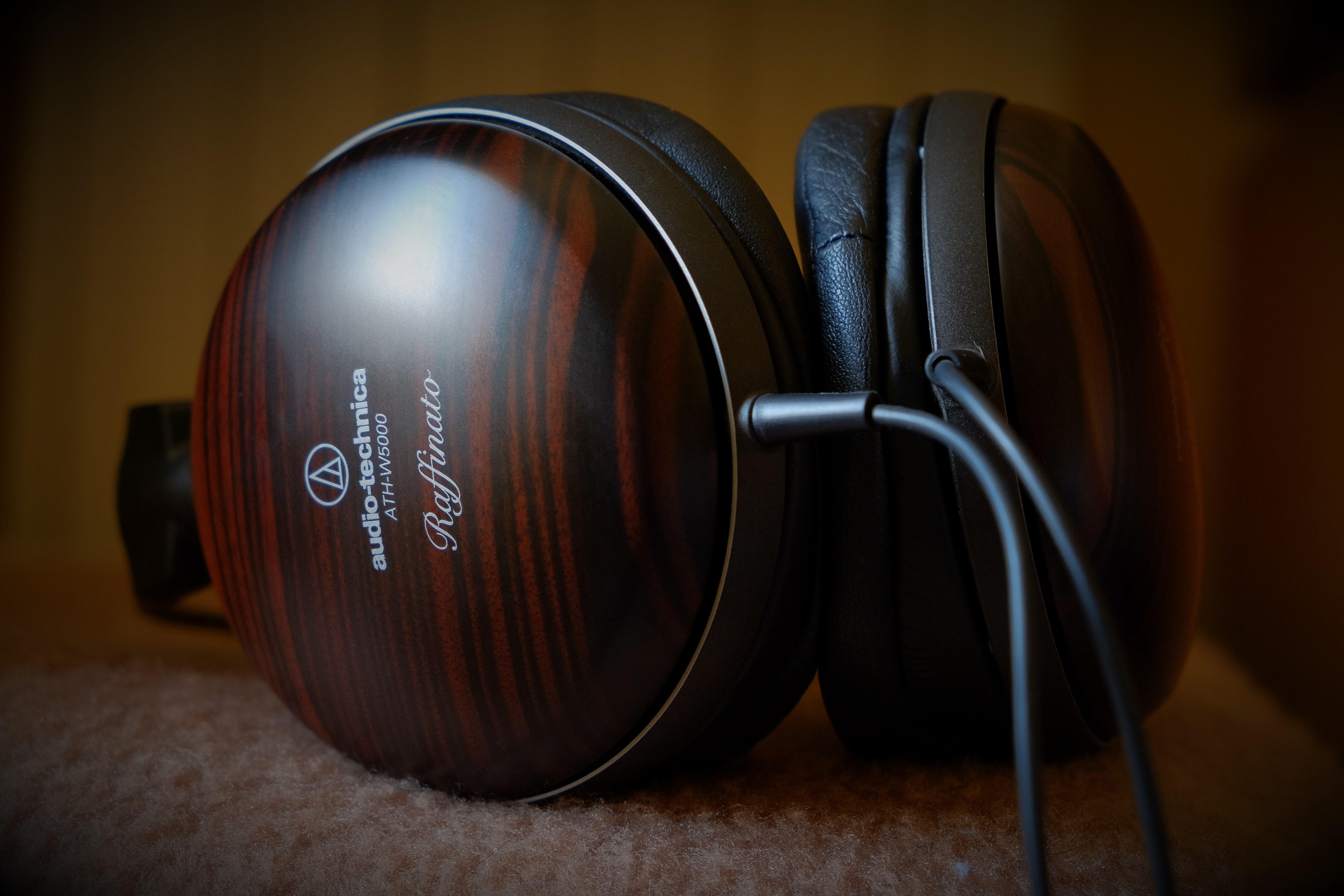 Audio-Technica W5000, the contentious ones : r/headphones