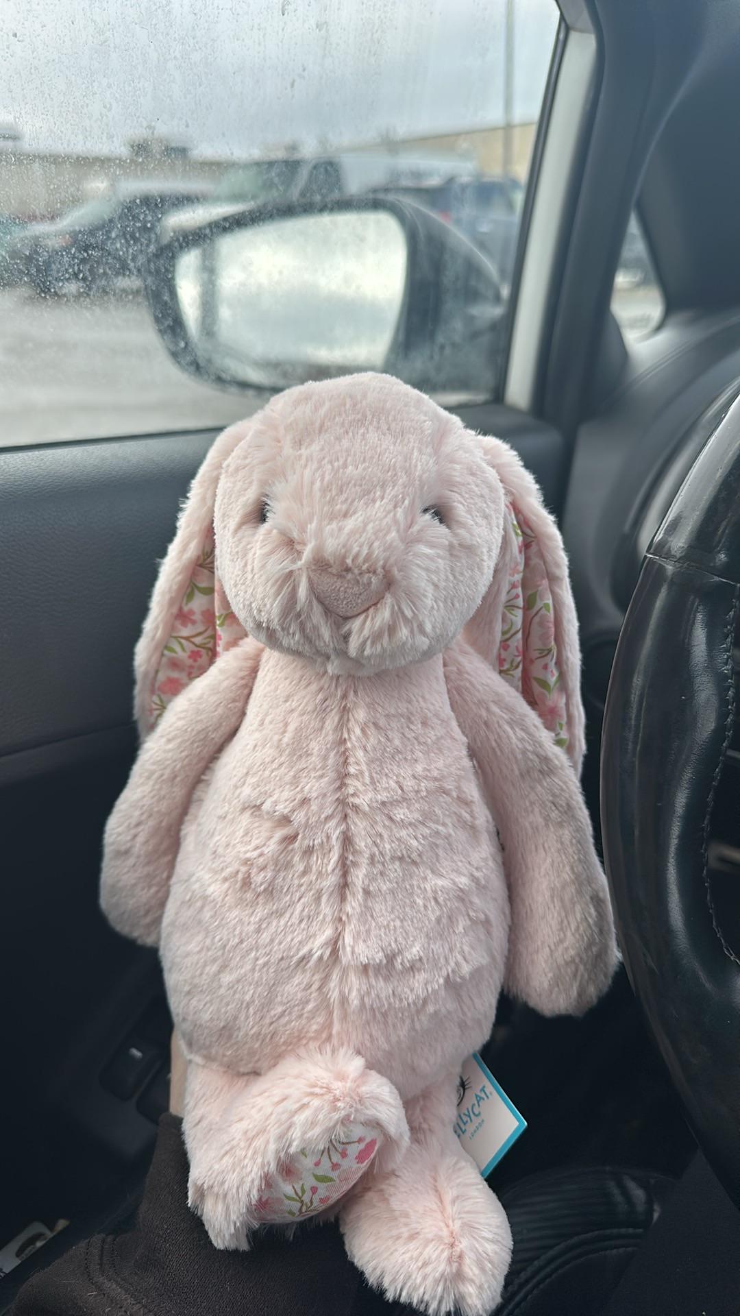 私が選んだ可愛いブロッサムブラッシュバニー「チェリー」🌸 : r