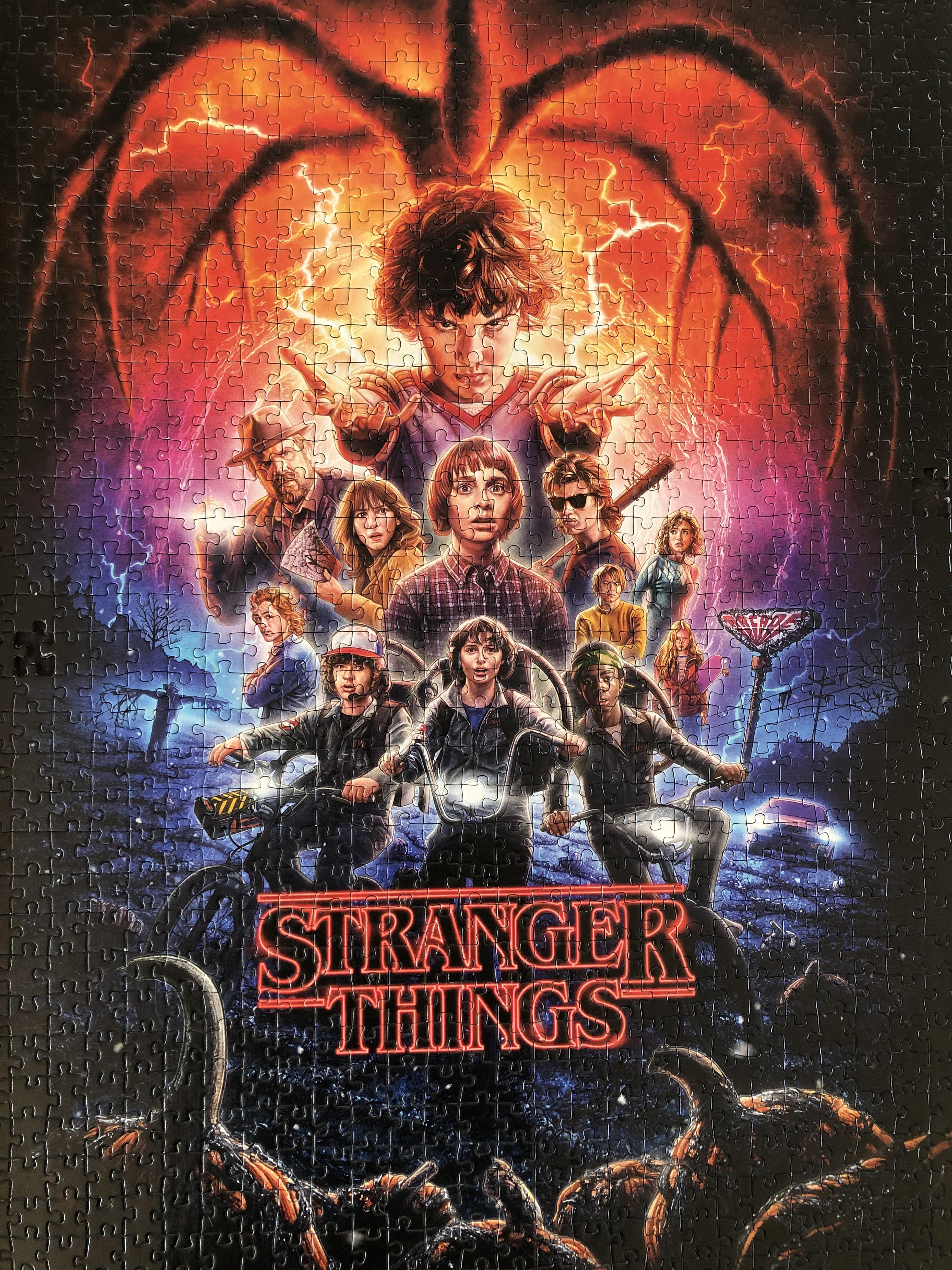 ストレンジャー・シングスのパズル、1000ピース🧩（めっちゃ難しかった