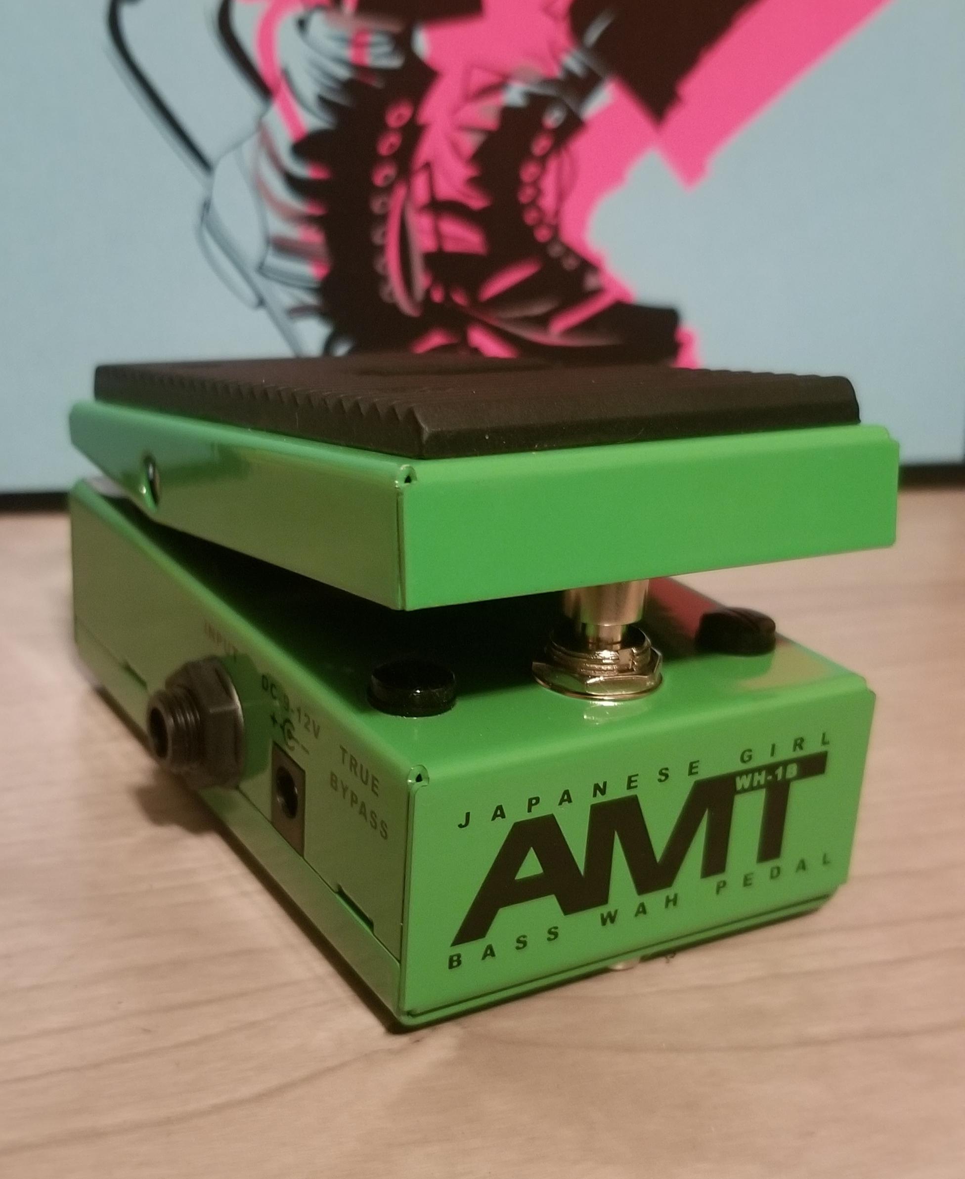 NPD: Girlfriend left me, so I got a Japanese Girl (AMT WH-1B wah