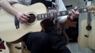 Cole Clark / CCFL3EC-BB Fat Lady S/N:141128757 アルペジオ編【新宿