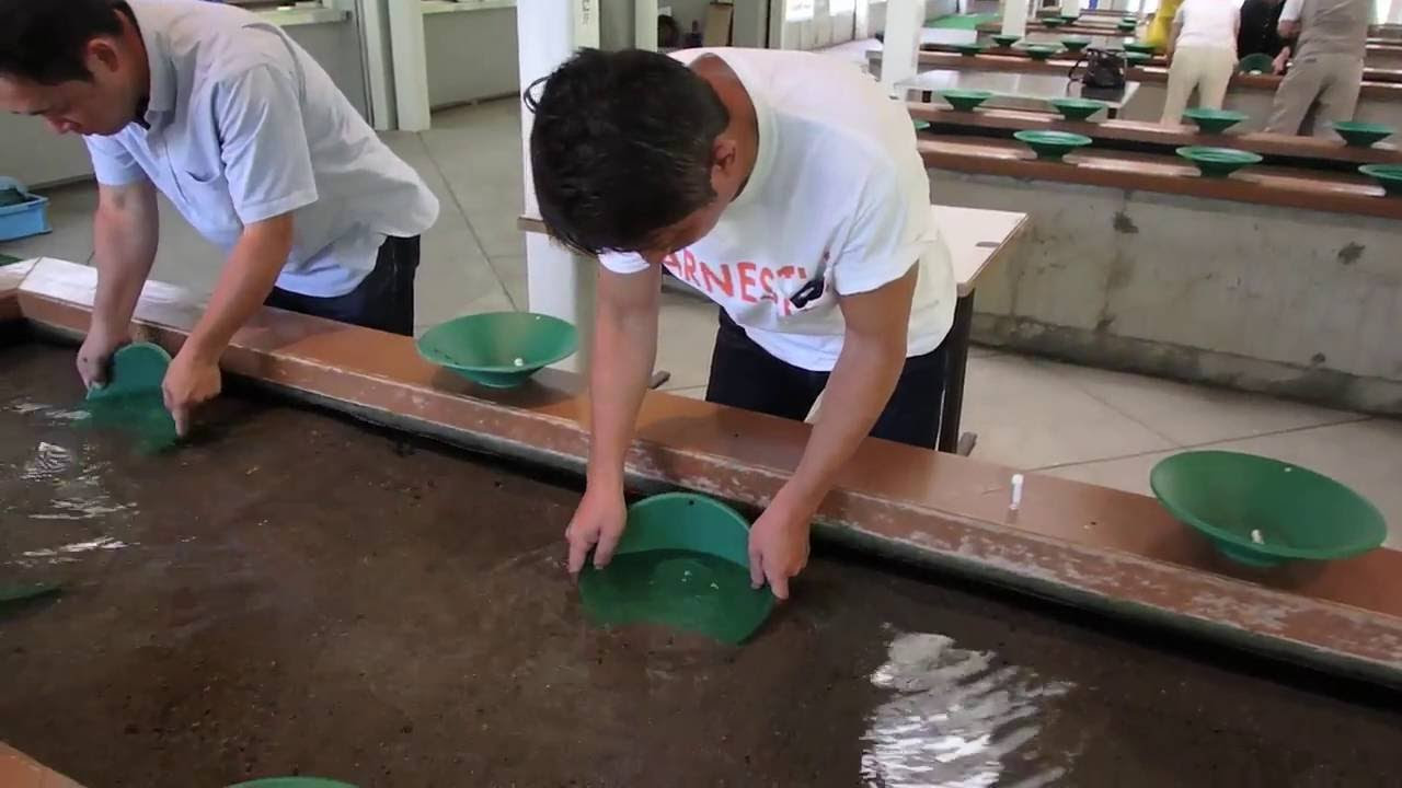 砂金とりに挑戦！／「ドラ佐渡」で佐渡観光 - YouTube