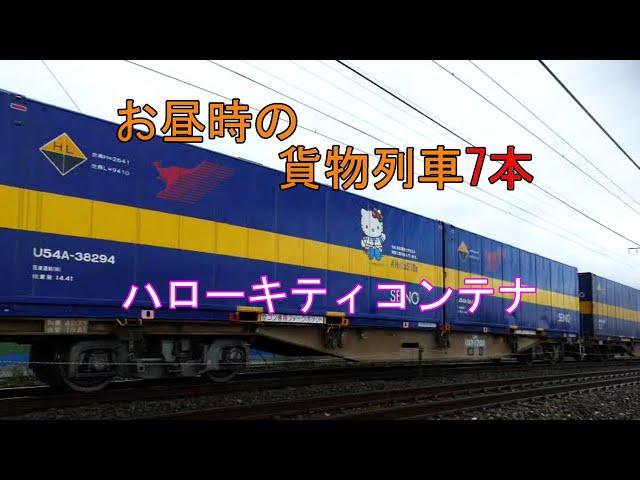 ゆ*ん様 U54A-38000 西濃運輸SDGsハローキティー ゆ*ん様 U54A-38000