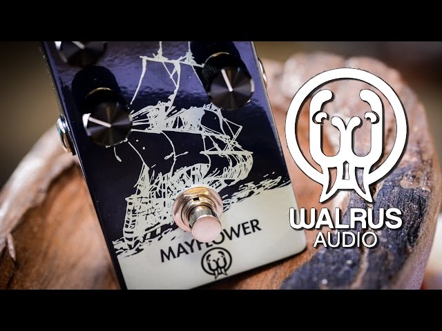 Walrus Audio MAYFLOWER (OD) - Review - YouTube