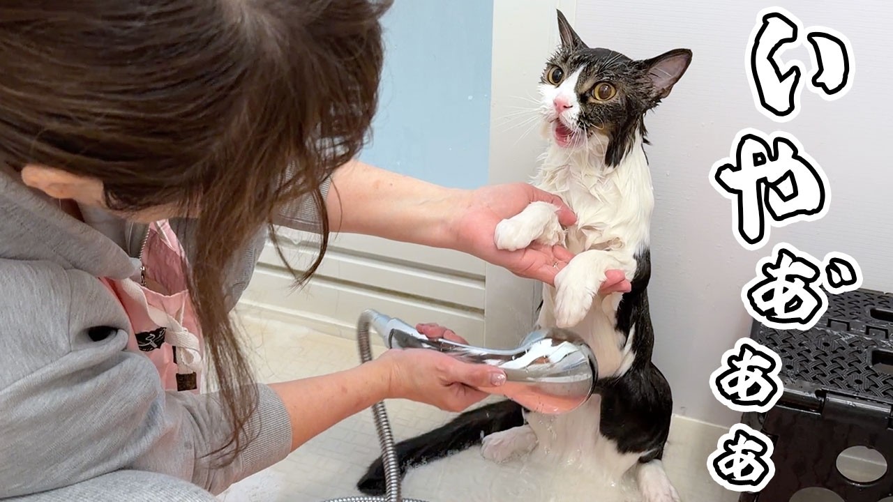 馬場良馬スマボMovie『リアルfaces』メイキング - YouTube