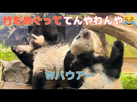 シャオシャオとレイレイ（2歳〜） - YouTube