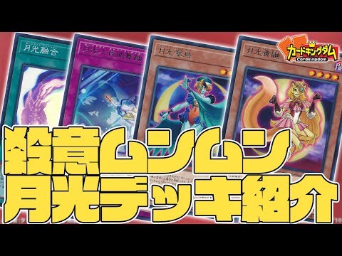 遊戯王】一発で舞獅子姫！？ムーンライトデッキを解説！【#デッキ解説