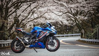 I went on a cherry blossom viewing tour to XX, where the cherry