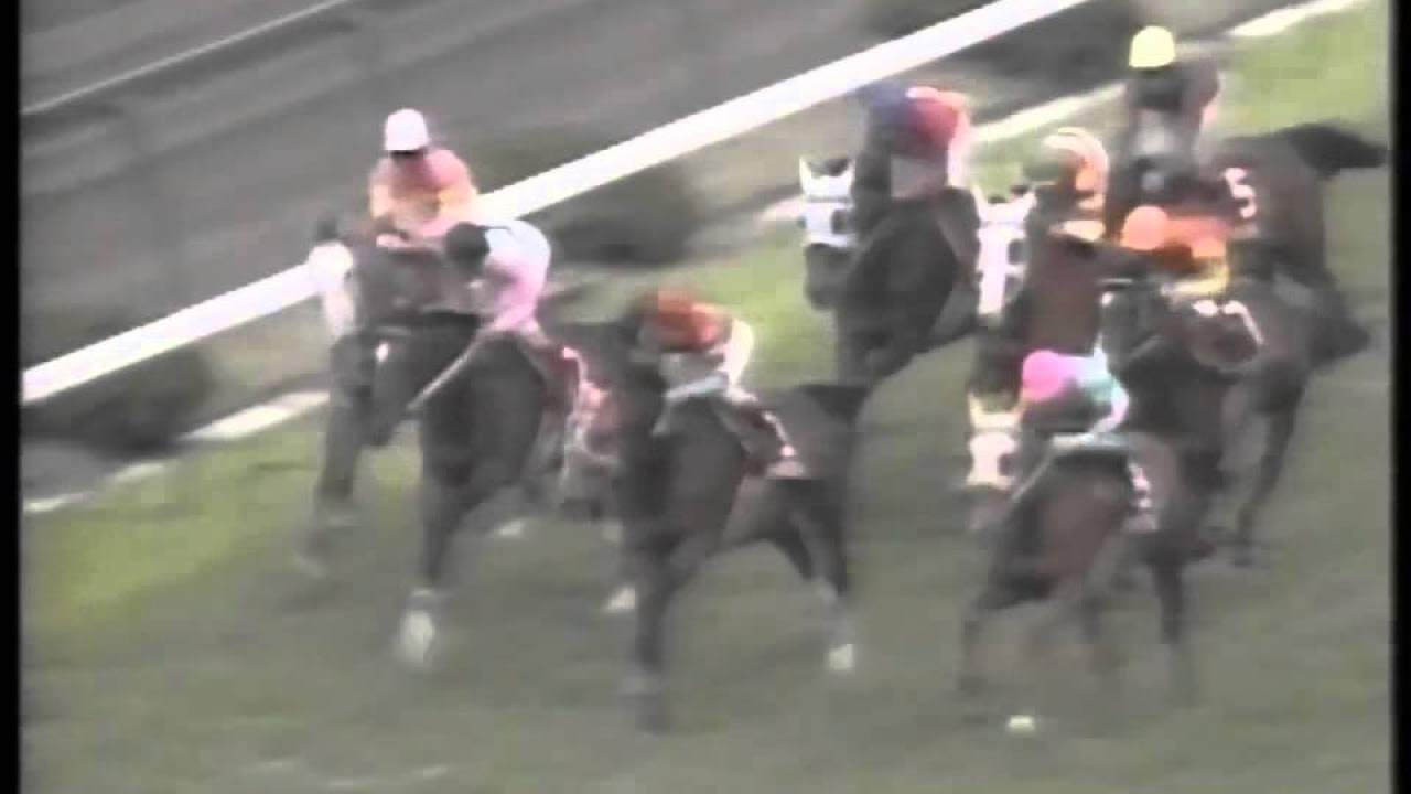 第36回産経大阪杯 トウカイテイオー - YouTube