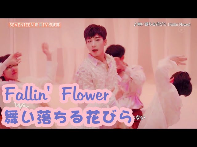 200503 SEVENTEEN (세븐틴) 舞い落ちる花びら (Fallin' Flower