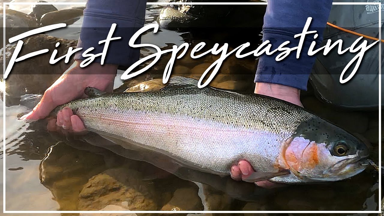 Spey casting practice - YouTube