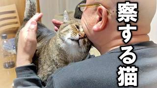 This is what happened to the cat who sensed his father's