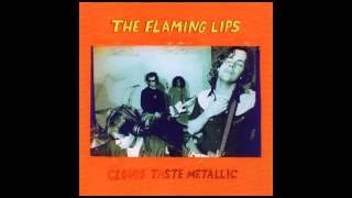 The Flaming Lips / Clouds Taste Metallic - Guitar Records