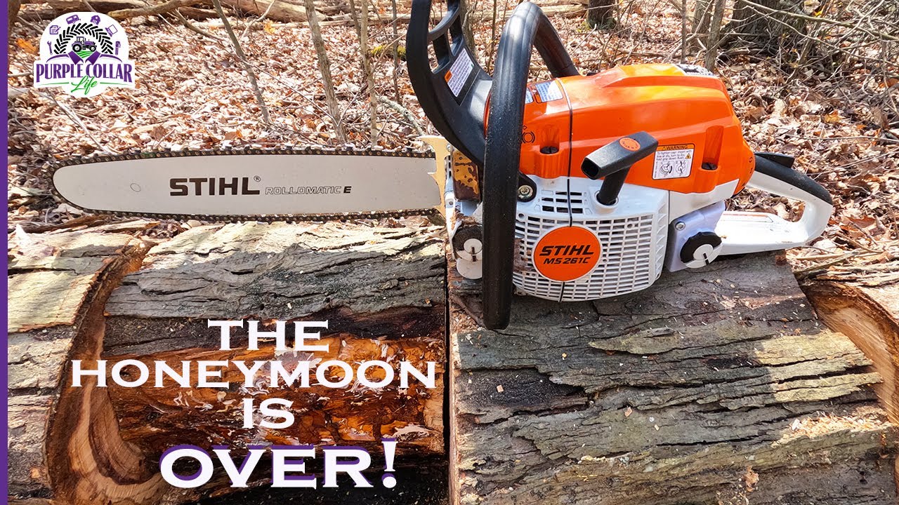 MS261C - 6 month review - YouTube