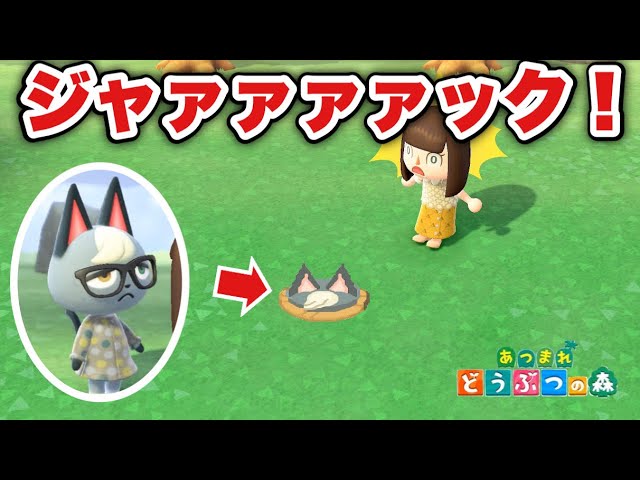 Animal Crossing] Jack was buried in a hole [Animal Crossing: New