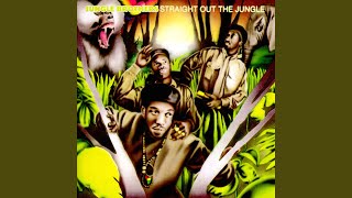Jungle Brothers / ジャングル・ブラザーズ / Straight Out The Jungle