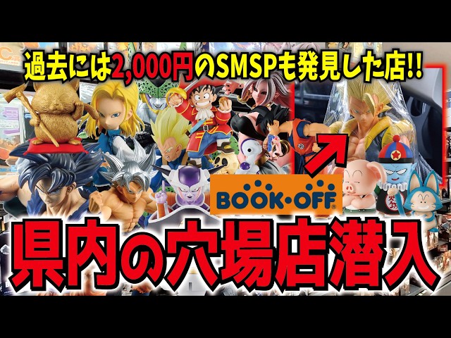 First visit in a year!!] Book Off in the prefecture! A hidden gem