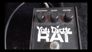 ProCo You Dirty Rat - YouTube