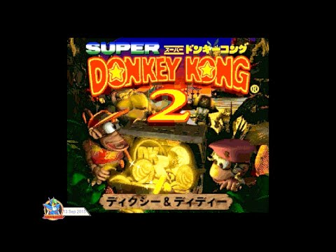 L] Super Donkey Kong 2/スーパードンキーコング2 ディクシー