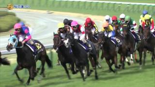 2016年4月10日 桜花賞(G1) ジュエラー - YouTube