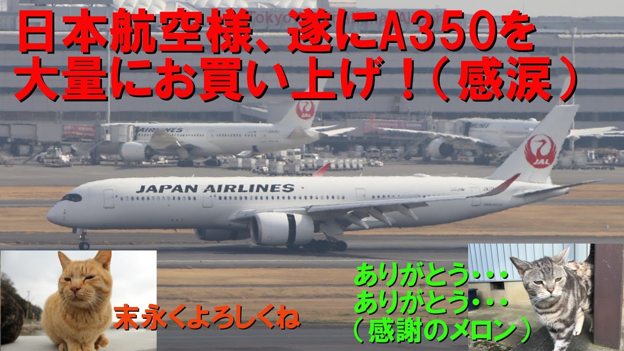 日本の航空会社 塗装デザインの歴史【戦後～2025年】 - YouTube 昭和