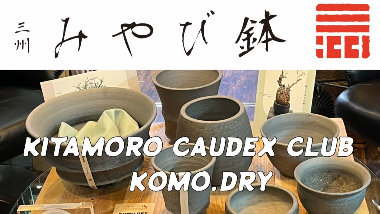 オリジナル三州みやび鉢をご紹介！#塊根植物 #園芸 - YouTube