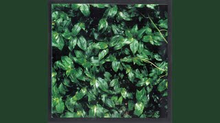 エレファントカシマシ｜アルバム『ココロに花を』アナログ盤が11月3日