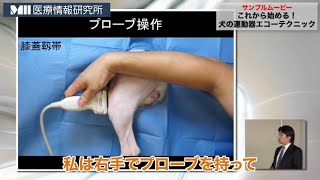 これから始める！犬の運動器エコーテクニック | 株式会社 医療情報研究所